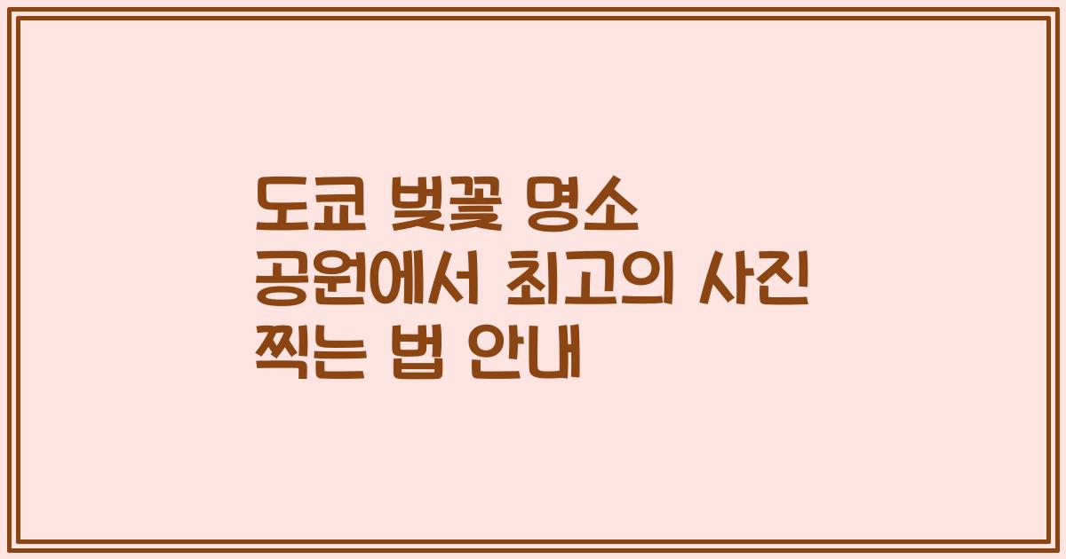 도쿄 벚꽃 명소 공원에서 최고의 사진 찍는 법 안내